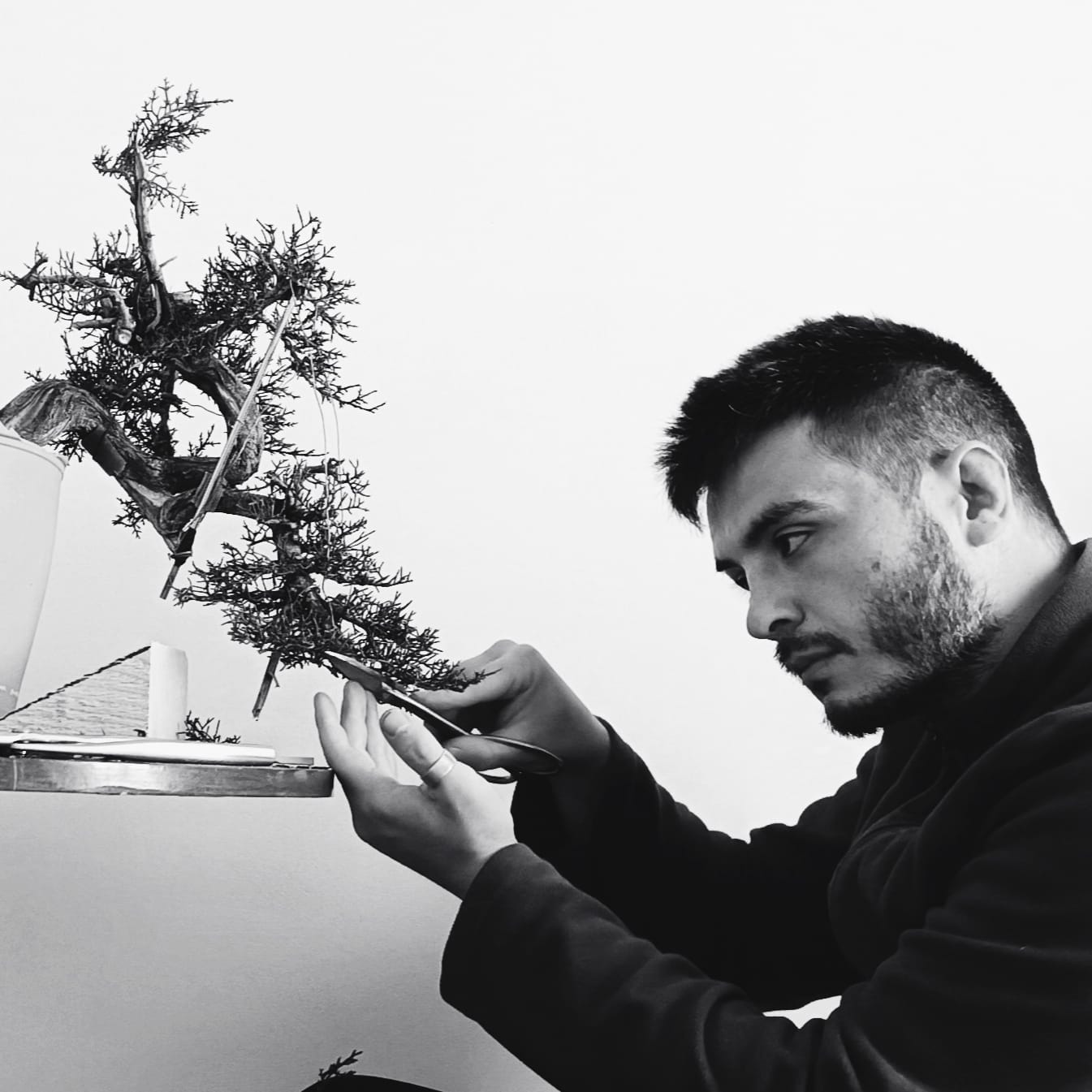 Giuseppe Fioravanti