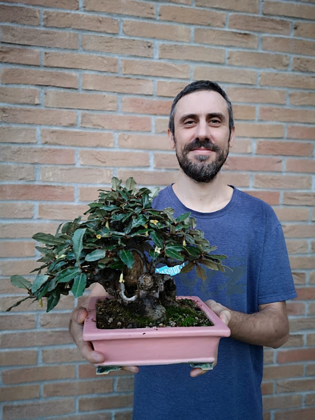 Alberto Reghini